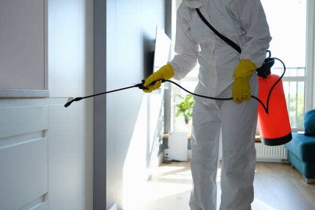 Best Professional Mold Removal  in Shackle Island, TN